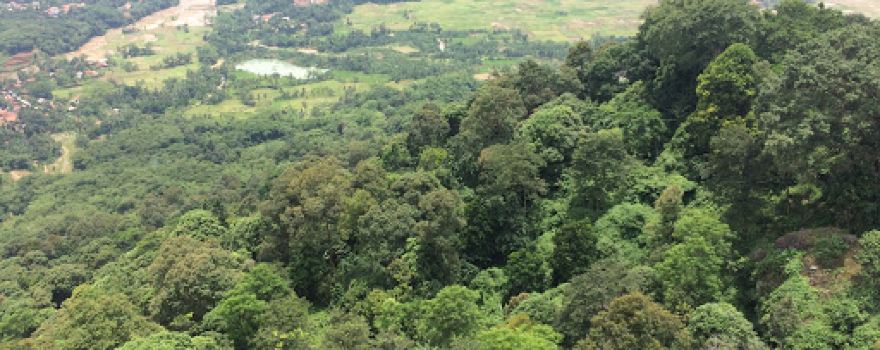 Gunung Munara