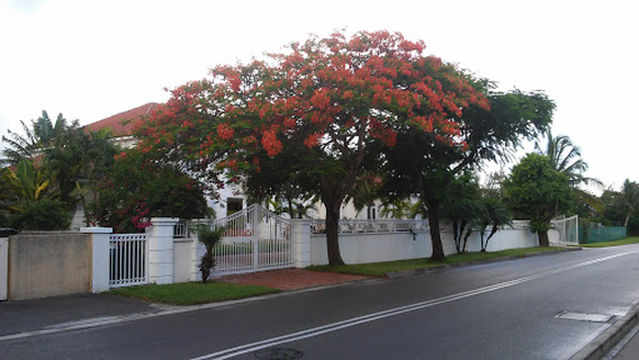 Paradise Island Golf Club