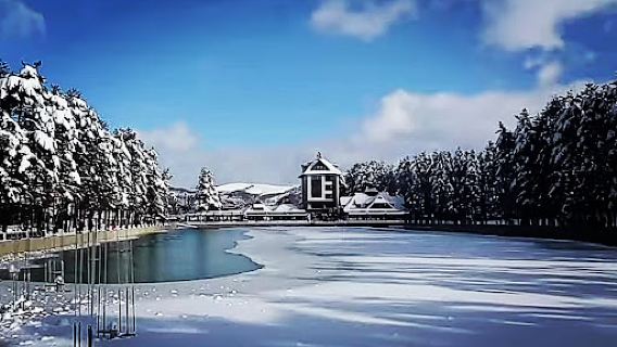 Zlatiborsko jezero