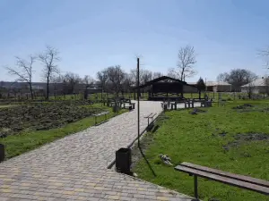 Park Im. Profesora N. Rissa