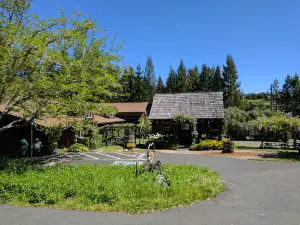 Husch Vineyards & Winery