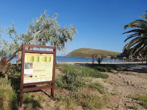 Paralia Richa Nera