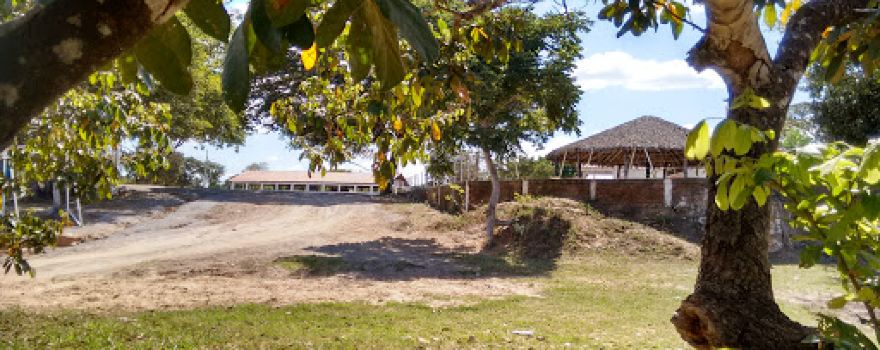 Vaquejada Park Domingos José dos Santos