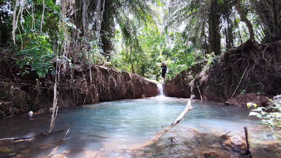 Rau Forest Reserve