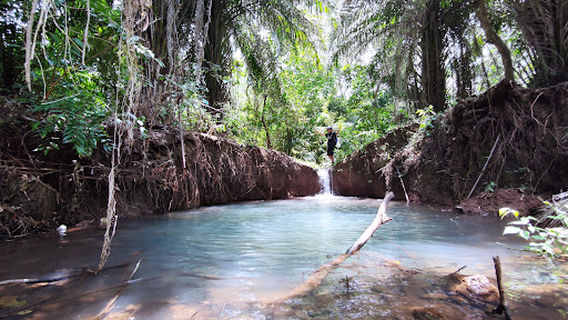 Rau Forest Reserve