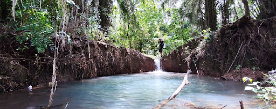 Rau Forest Reserve