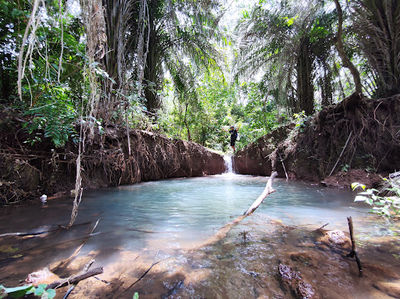 Rau Forest Reserve