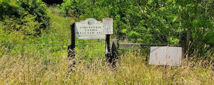 Esbenshade Wetlands