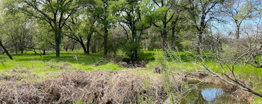 Garlic Creek Park