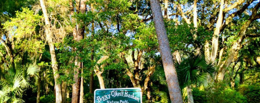 Peggy O'Neill Basham Nature Park