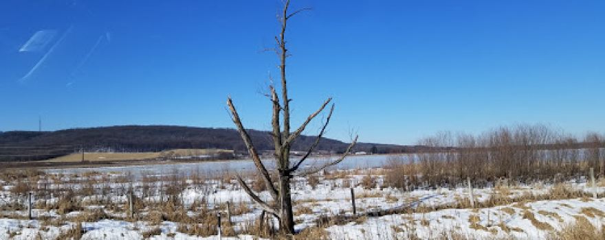 Baraboo River Floodplain Forest
