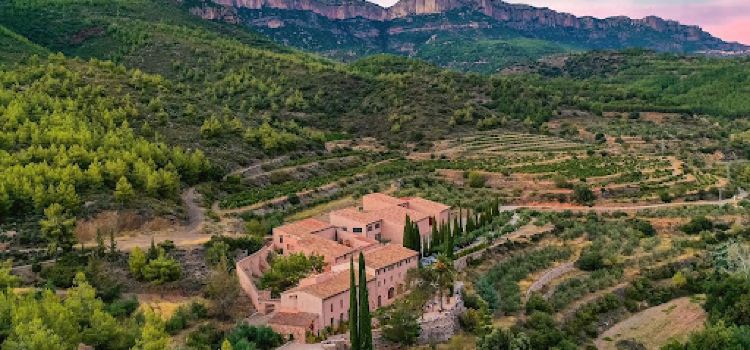 Mater Terrae – Hotel Terra Dominicata