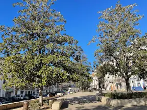 Virgen de la Paz Park
