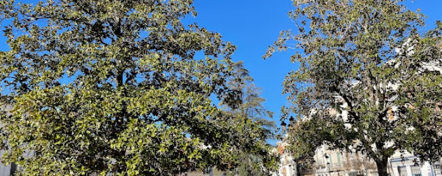 Virgen de la Paz Park