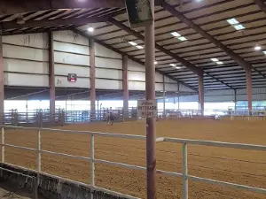 Lightning C Arena