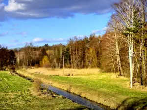 Gołuchów - Plaża nad jeziorem