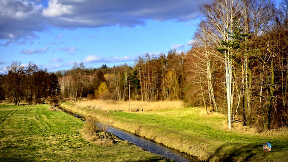 Gołuchów - Plaża nad jeziorem