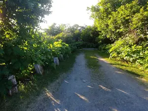 Stariski Campground