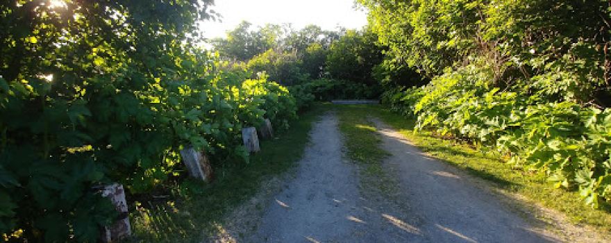 Stariski Campground