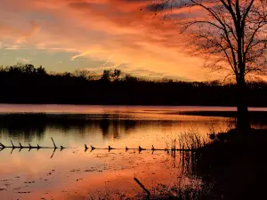 Lincoln State Park