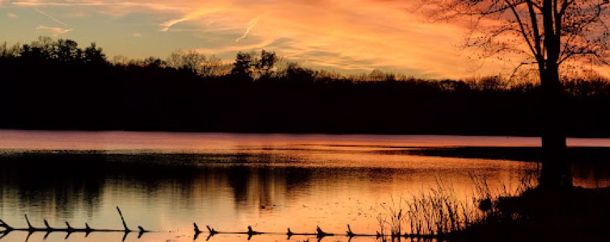 Lincoln State Park
