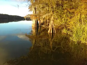 Spring Bayou State Wildlife Management Area