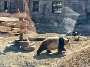 Beijing Zoo