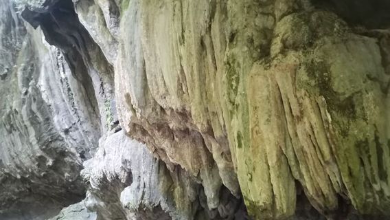 qi feng dong jing qu