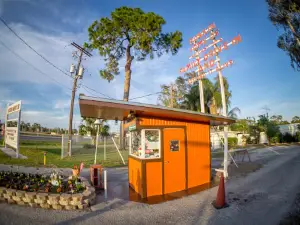 Ruskin Family Drive-In Theatre
