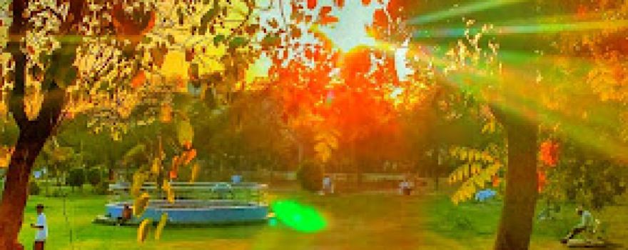 City Park Sangrur
