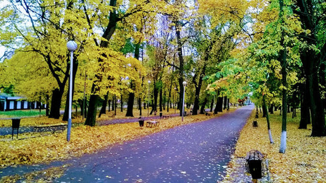 Park Kul'tury I Otdykha