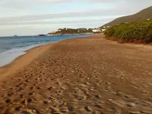 Nevis
