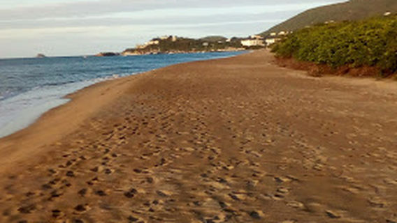 Nevis