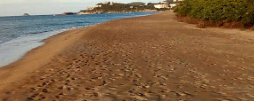 Nevis