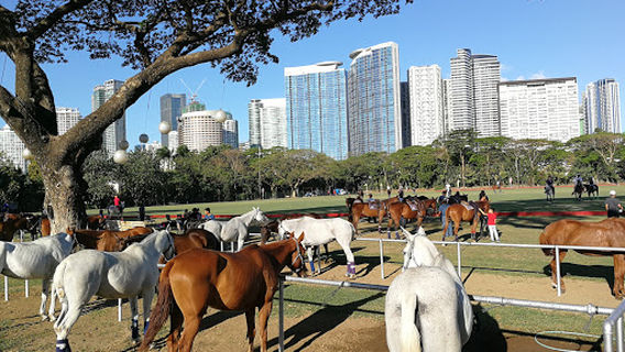 Manila Polo Club