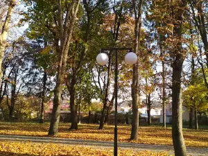 Borshchiv park