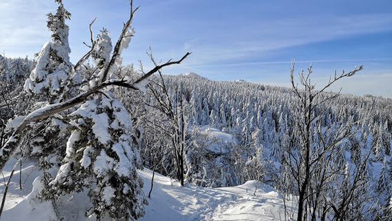 Vyhlídka Krásná Máří