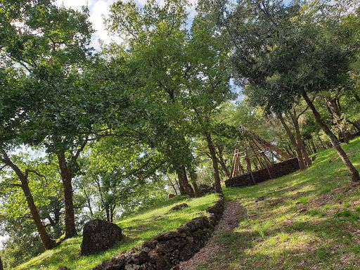 Poggio Del Monaco