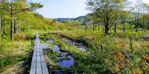 霧ヶ谷濕原