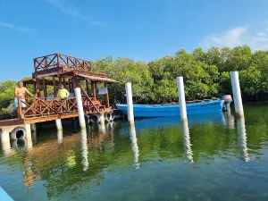 La Plataforma de Montecristi