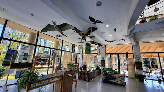 Visitor Center Ceala
