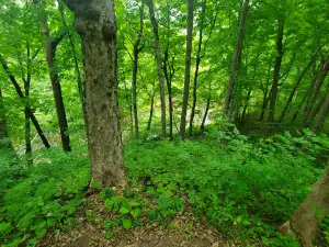 Rush City Park