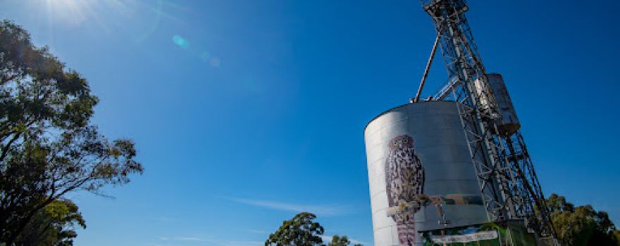 Avoca Silo Art by Jimmi Buscombe