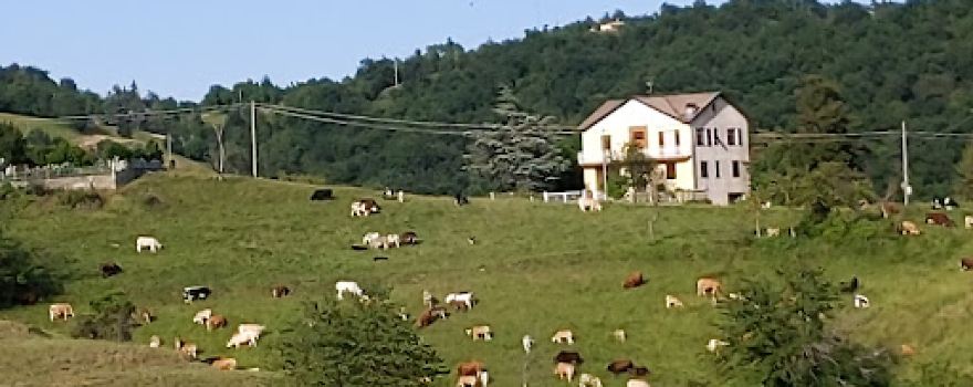 Bandita Di Cassinelle