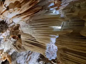 Cuevas del Aguila