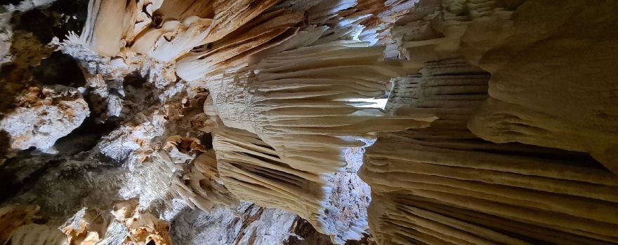 Cuevas del Aguila