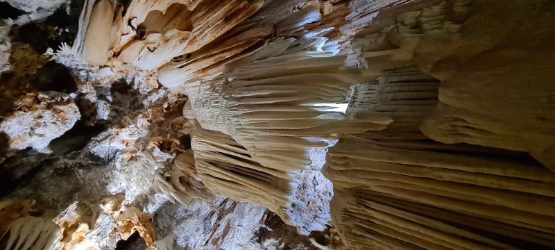 Cuevas del Aguila