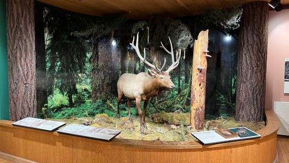 Olympic National Park Visitor Center