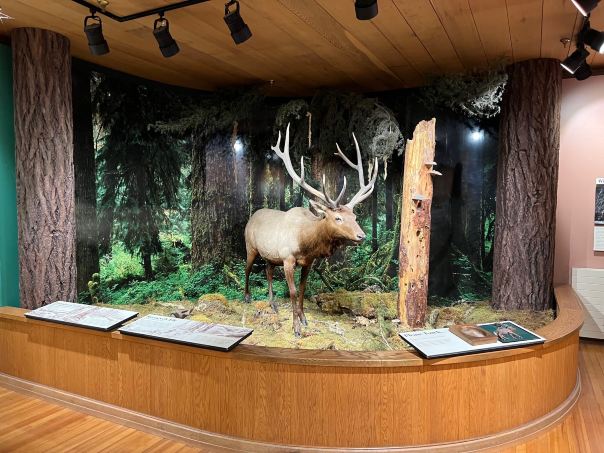 Olympic National Park Visitor Center