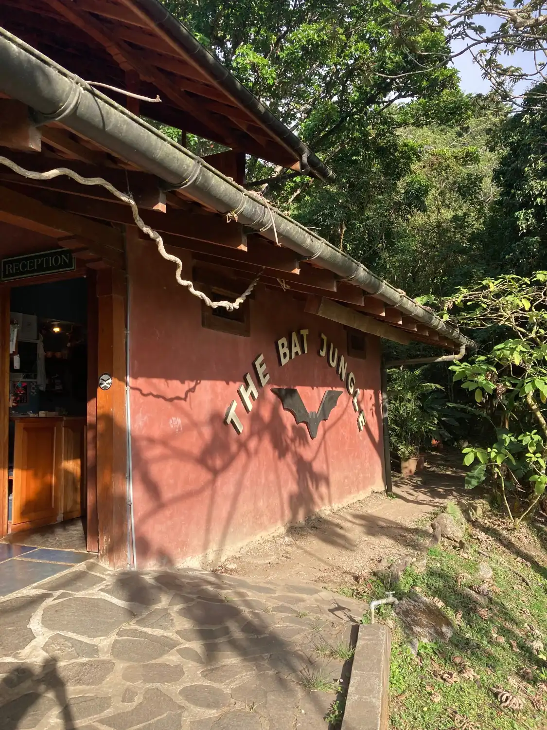 Hotels near The Bat Jungle